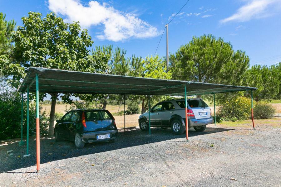 Agriturismo Case Nuove كاستيلينا ماريتيما المظهر الخارجي الصورة